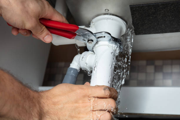 Best Water damage cleanup near me  in Chincoteague, VA