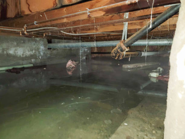 Best 24/7 water damage repair  in Chincoteague, VA