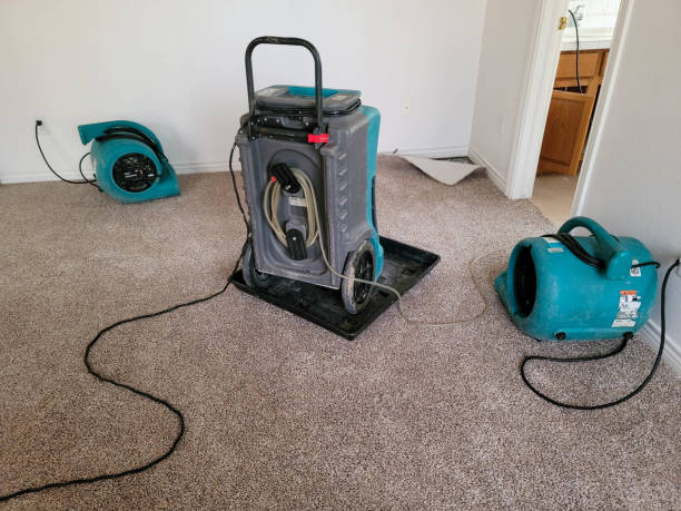 Best Flood damage cleanup  in Chincoteague, VA