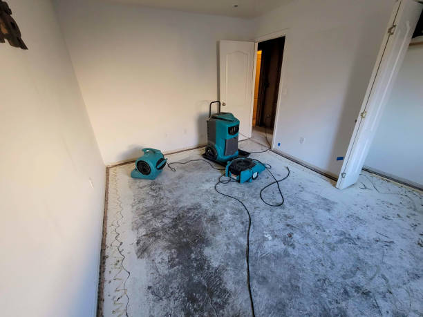 Best Mold removal after water damage  in Chincoteague, VA