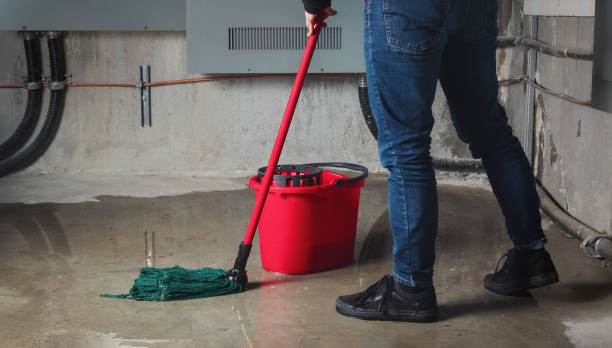 Best Water damage restoration mold remediation  in Chincoteague, VA