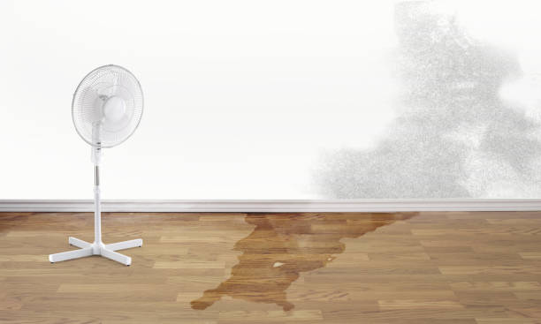 Best Ceiling water damage repair  in Chincoteague, VA