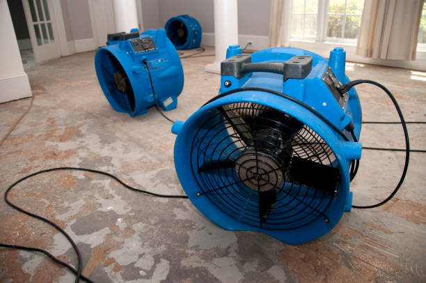 Best Basement water damage restoration  in Chincoteague, VA