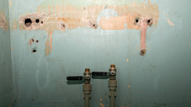 Best Carpet water damage restoration  in Chincoteague, VA