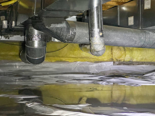 Best Water damage restoration near me  in Chincoteague, VA