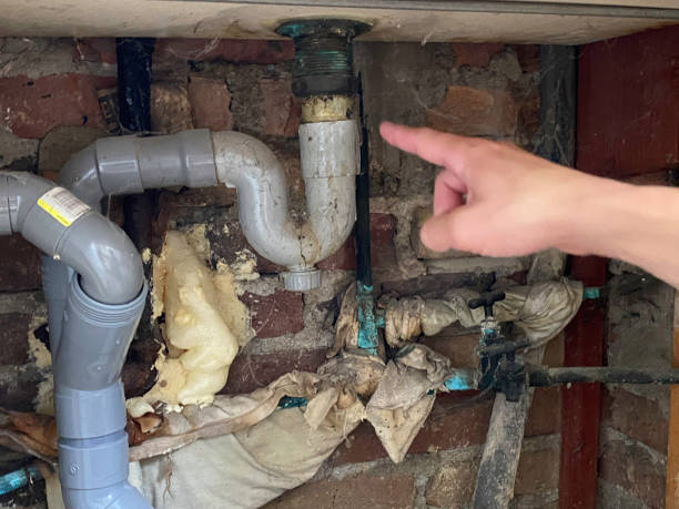 Best Carpet water damage restoration  in Chincoteague, VA