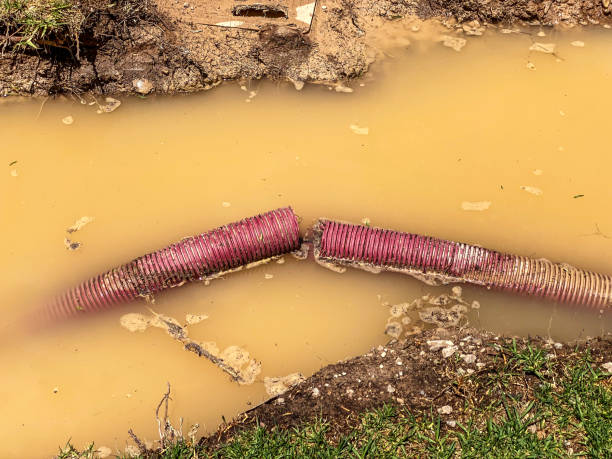 Water damage restoration mold remediation in VA