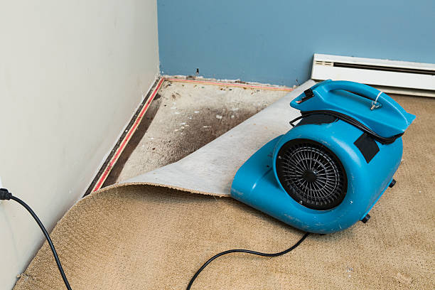 Best Fire Damage Restoration  in Chincoteague, VA